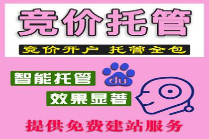 百度广告推广实战：助力企业快速崛起